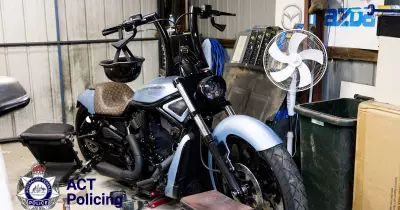 National Bikie Gang Taskforce Morpheus Strikes Comancheros Networks