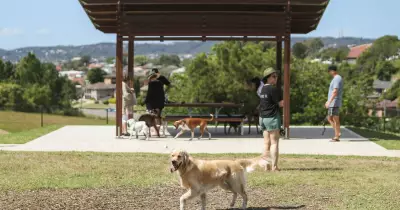 Newcastle Council Probes Expansion of Off-Leash Dog Parks Across City