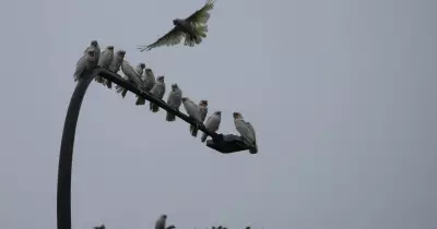 Newcastle Weather Forecast: Summer Ends, Autumn Arrives with Mild Conditions