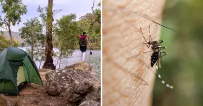 NSW Health Expands Free Japanese Encephalitis Vaccine Access Statewide