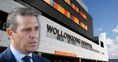 Pigeon Infestation and Mould Crisis Plague Wollongong Hospital