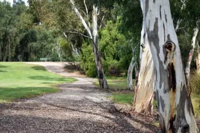 Salisbury and Private Schools Gain Power to Remove Protected River Red Gums