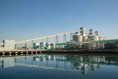 South32 Exits Mozambique Aluminium Refinery After 25 Years of Operations