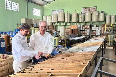 St George Mining Bolsters Team with Brazilian Expert for Rare Earths Project