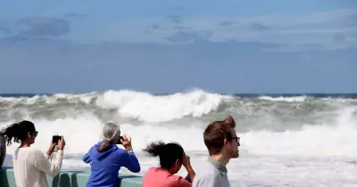 Syringes Wash Up on Newcastle Beaches Following Large Swells, Public Warned