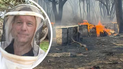 WA Beekeeper Loses Three Million Bees in Beechina Bushfire Blaze