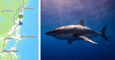 Wollongong Beach Shut Again After Shark Sighting, Second Closure in Two Days