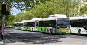 Canberra Bus Driver Denies Assaulting Teenage Passenger in Court