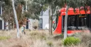 Canberra's Northbourne Avenue Vision Was Fine, Actually, Letters Argue