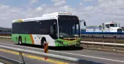 Canberra's Rapid Bus Network Review Faces Ministerial Criticism