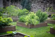 Charlie Albone's Guide to Thriving Gardens in Small, Sandy Spaces