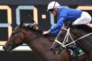 Cinsault Aims for Maiden Group 1 Victory in Coolmore Classic at Rosehill