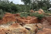 Dalaroo Metals Maps 2km Gold Corridor in Côte d'Ivoire's Birimian Terrane