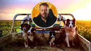 Dog Trainer Reveals Three Most Challenging Breeds for Behaviour Issues