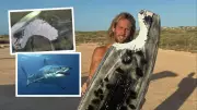 Exmouth Foil-Boarder's Miracle Escape from 3m Great White Shark Attack