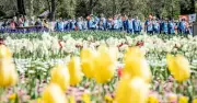 Floriade and Questacon Win Gold at Australian Tourism Awards