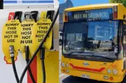 Fuel Excise Halved Nationally as SA Rules Out Free Public Transport