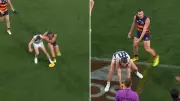Geelong's Controversial Win Over Adelaide After Incorrect Out-of-Bounds Call