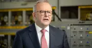 Government Proposes National Fuel Coordinator and Enhanced ACCC Oversight