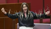 Greens Senator Displays Dead Seahorses in Senate, Demands Santos Accountability
