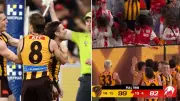 Hawthorn's Nick Watson Accuses Sydney Fans of Throwing Drink at MCG