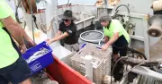 Hunter Seafood Lovers Face Price Surge as Fuel Costs Rise