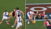 Kane Cornes Slams Zach Merrett for 'Giving Up' in AFL Clash Against North Melbourne