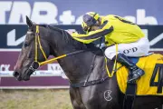 Machine Gun Gracie's Sydney Cup Bid After Rosehill Victory