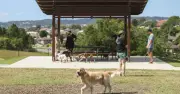 Newcastle Council Probes Expansion of Off-Leash Dog Parks Across City