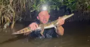 Newcastle's Freshwater Crocodile Relocated to Australian Reptile Park