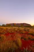 Northern Territory Travel Auctions Offer Unique Uluru and Alice Springs Getaways