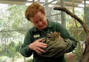 Perth Wildlife Conservation Pioneer June Butcher Passes Away at 90
