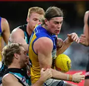 Port Adelaide Coach Josh Carr Eyes Harley Reid vs Jason Horne-Francis Showdown