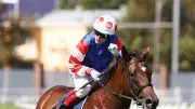 Portelli Pins Coolmore Classic Hopes on Williams and Verona Rose