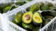Tablelands Farmers Demand Fairness as Costs and Rates Cripple Avocado Industry