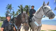 Townsville Police Deploy Mounted Unit to Deter Crime at Sellout Weekend