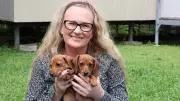 Townsville's 24-Hour Animal Lifeline: A Vital Rescue Service in Crisis