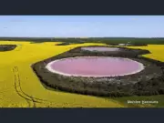 WA Farmland Prices Double in Recent Years, Nature's Support Questioned