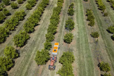 Albanese Government Secures 250,000 Tonnes of Urea from Indonesia for Farmers