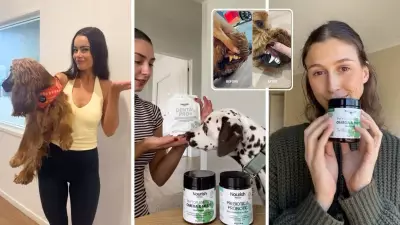 Australian Pet Wellness Bundle Sells Out Four Times, Tapping Owner Demand