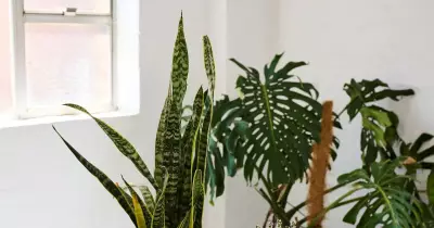 Australian Plastic Waste Transformed into Durable Furniture