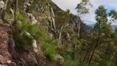 Bushwalker Dies After 20-Metre Fall on Mt Maroon, Response Delays Under Review