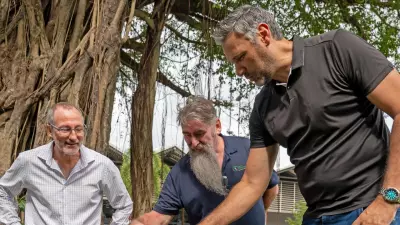 Cairns Declared Free of Yellow Crazy Ants After Successful Eradication Program