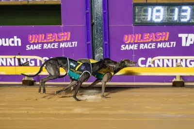 Canya Excite Me Triumphs in Sandgroper Crown at Cannington