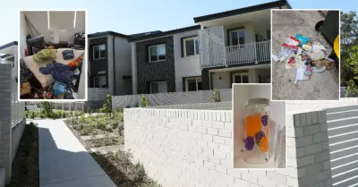 Cockroach Infestation Plagues Lambton Homes, Residents Report Crawling Pests