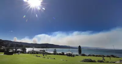 Critical Bushfire Safety Measures: Protecting Homes and Health