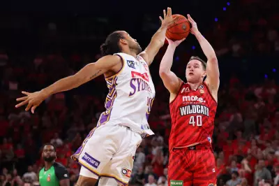Elijah Pepper to Become NBL Point Guard After New Wildcats Contract