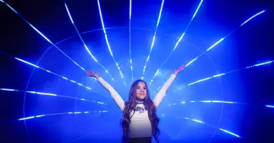 Enchanted Forest Light Show Transforms Blackbutt Reserve into Blooming Garden