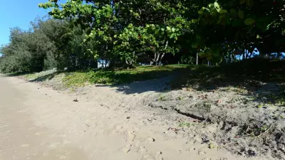 Families Demand Stinger Net at Saunders Beach Over Crocodile and Jellyfish Fears