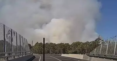 Firefighters Battle Bush Blaze at Tomago, 30 Personnel Deployed